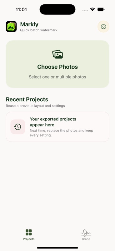 Markly iOS app showing Choose Photos, Recent Projects, and the Brand tab